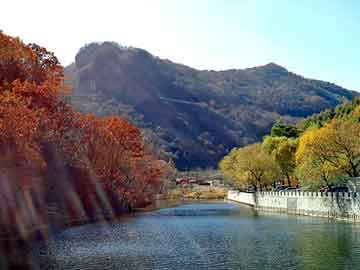 新澳天天开奖资料大全旅游团，剧毒蛇女